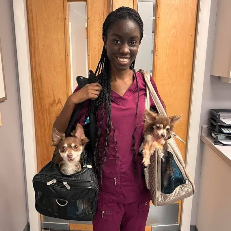 VetCor Community Connections October 2021